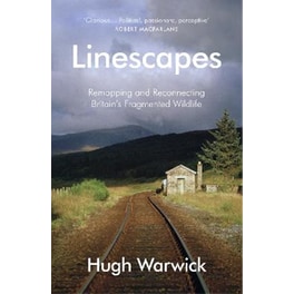 Linescapes