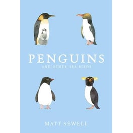 Penguins and Other Sea Birds