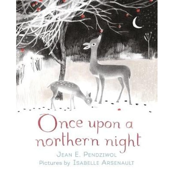 Once Upon a Northern Night image 0