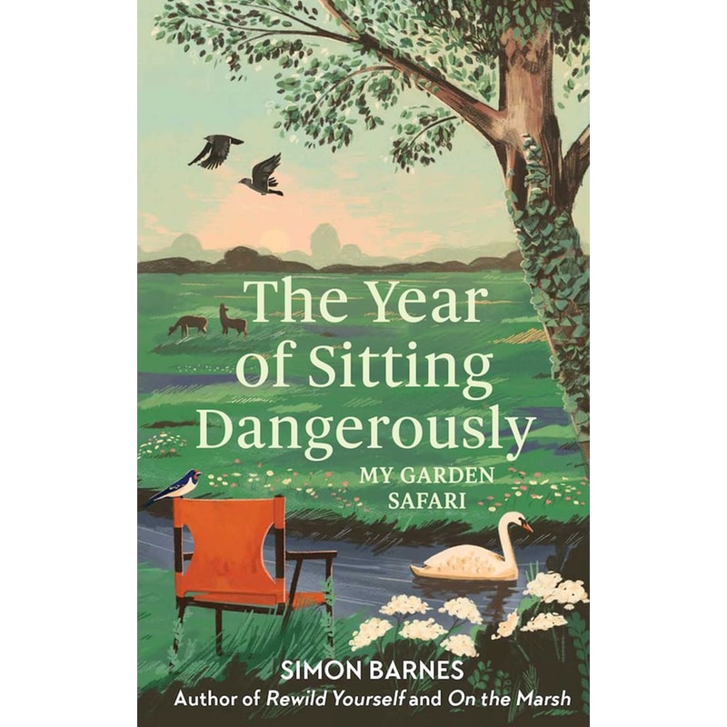 Year of Sitting Dangerously