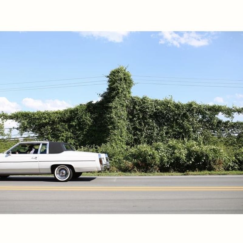 When I Go I Ghost (Lp)