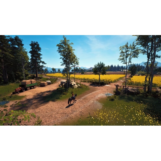 Windstorm: Start of a Great Friendship Remastered - PS5 image 1