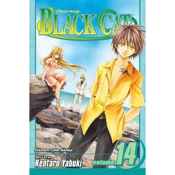 Black Cat, Vol. 14 image 0