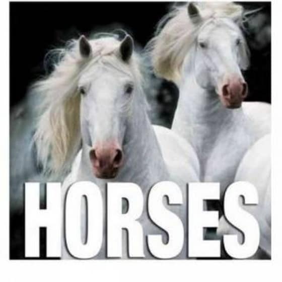 Horses- Cubebook image 0