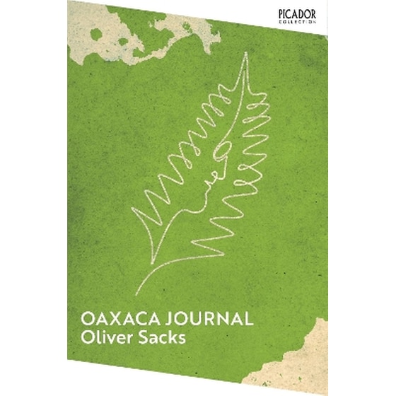 Oaxaca Journal image 0