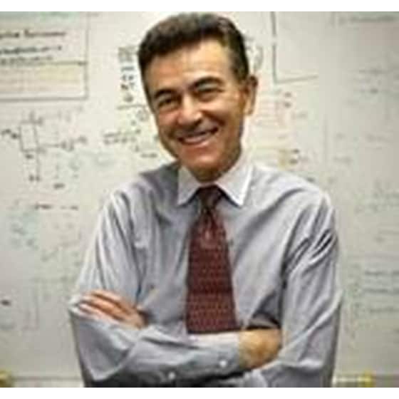 Είμαστε πίθηκοι image 1