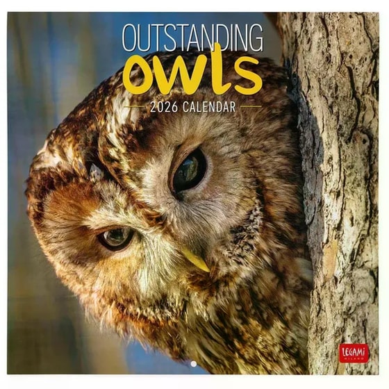 Ημερολόγιο Τοίχου Legami 2026 Outstanding Owls 30x29cm image 0