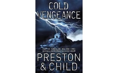 Cold Vengeance