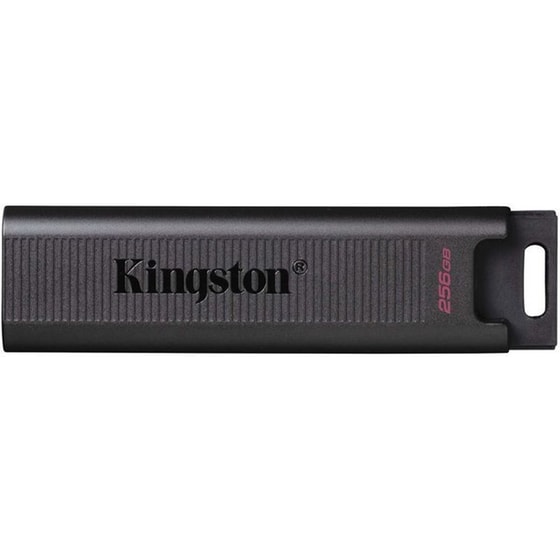 Kingston DataTraveler M 256GB USB 3.2 Type-C - Μαύρο image 0