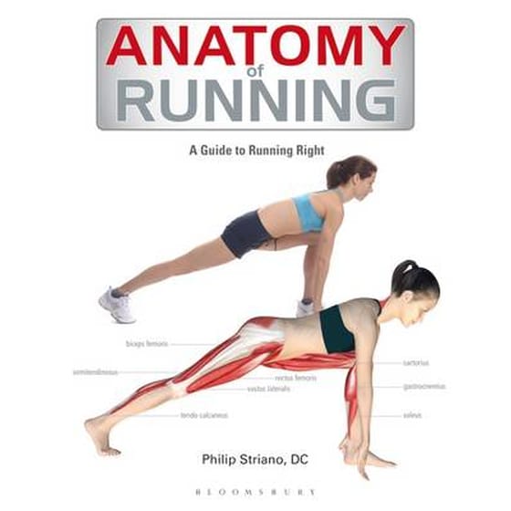 Anatomy of Running image 0