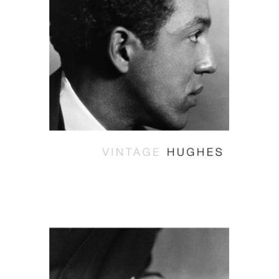 Vintage Hughes image 0