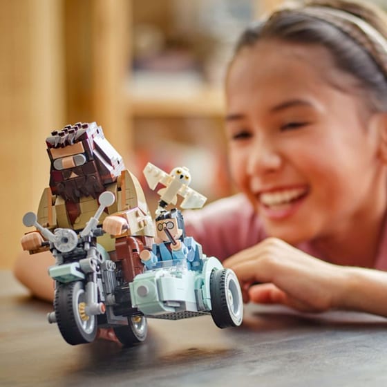 LEGO® Harry Potter Hagrid™ & Harry's Motorcycle Ride (76443) image 10