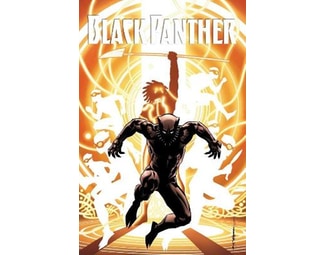 Black Panther- A Nation Under Our Feet Book 2 image 0