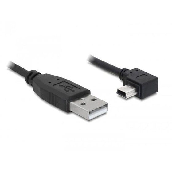 Καλώδιο DeLock USB-A Male σε mini USB-B Male - 2m image 0