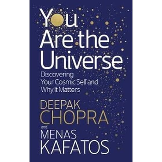 You Are the Universe image 0