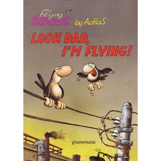 Look Dad, I am flying! image 0