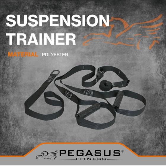 Ιμάντες Γυμναστικής Pegasus Suspension Trainer Β 0999 - Μαύρο image 2