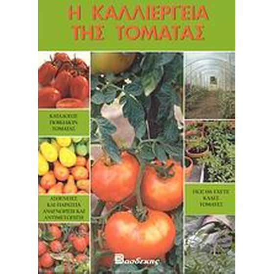 Η καλλιέργεια της τομάτας image 0