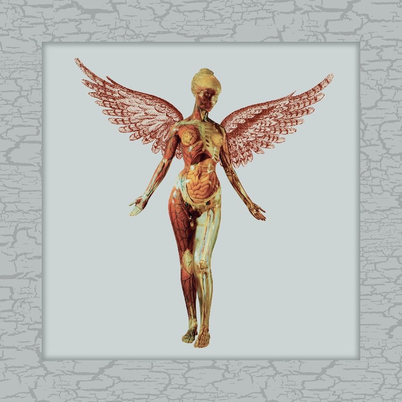 In Utero (5CD)