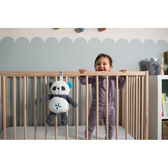 Tommee Tippee Λούτρινο Βρεφικό Κρεμαστό Παιχνίδι Pip Panda Deluxe image 8