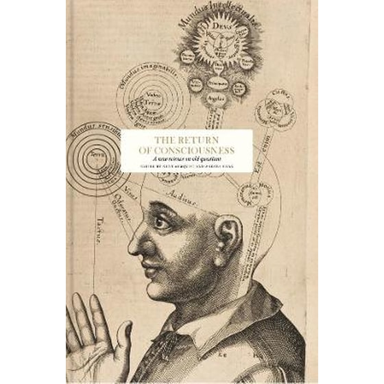 Return of Consciousness image 0