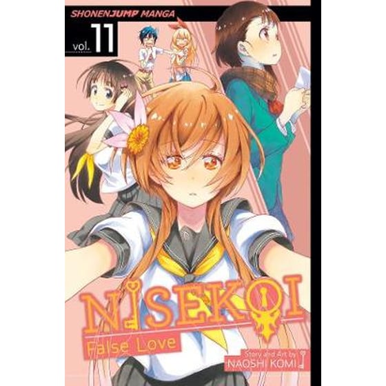 Nisekoi: False Love, Vol. 11 image 0