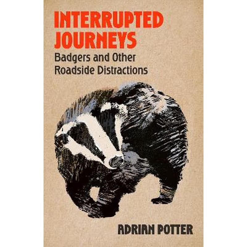 Interrupted Journeys