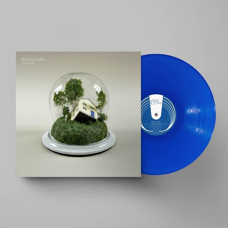 Big Picture (Ultramarine LP)
