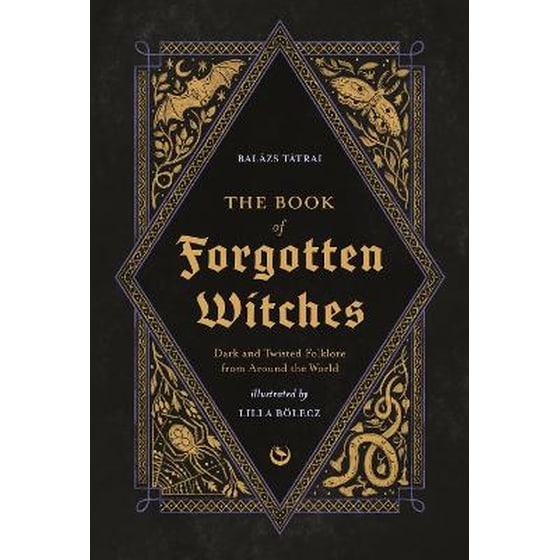The Book of Forgotten Witches image 0