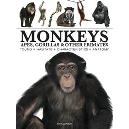 Monkeys