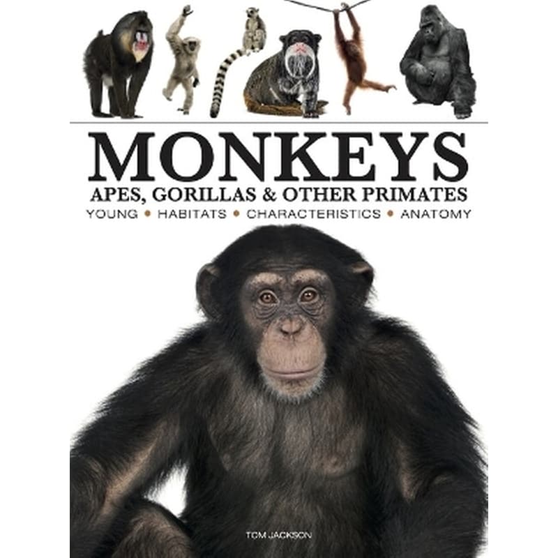 Monkeys