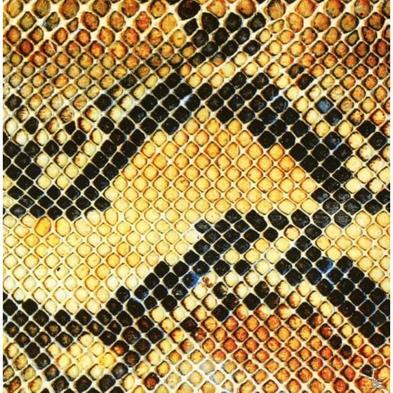 Amphetamine Ballads image 3