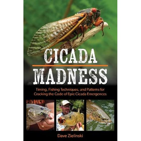 Cicada Madness image 0