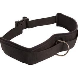 Ζώνη Μέσης Premium με 1 Δαχτυλίδι (D-ring) Amila 96965 για λάστιχα Random Direction Trainer από Νάιλον Μαύρο