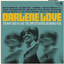 The Many Sides Of Love (Teal Vinyl)