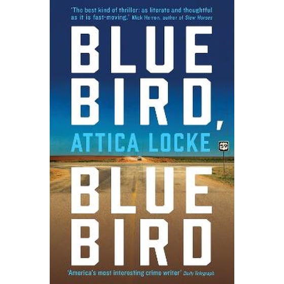 Bluebird, Bluebird image 0