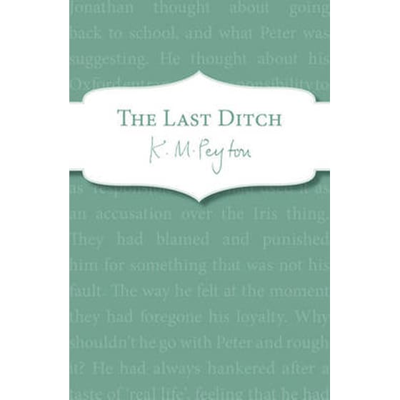 Last Ditch image 0