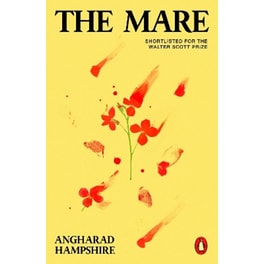 The Mare