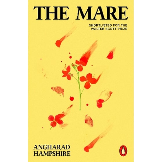 The Mare image 0