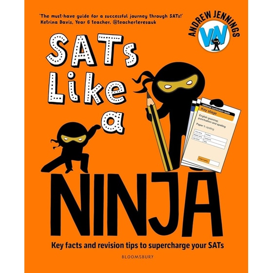 SATs Like A Ninja image 0