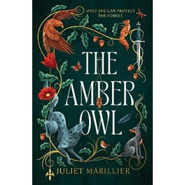 The Amber Owl