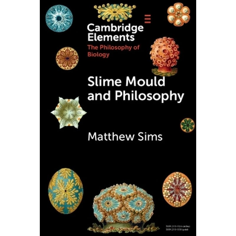Slime Mould and Philosophy