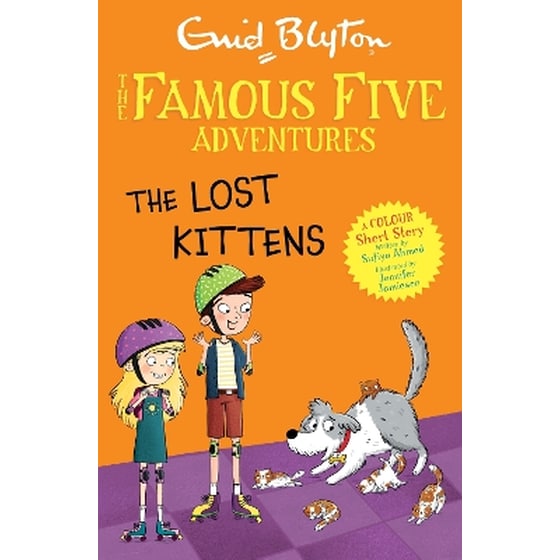 Famous Five Colour Short Stories: The Lost Kittens image 0