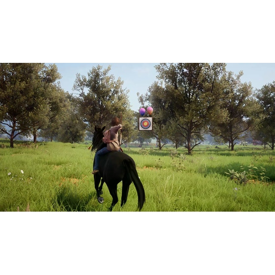 Windstorm: An Unexpected Arrival (Code in a Box) - Nintendo Switch image 5