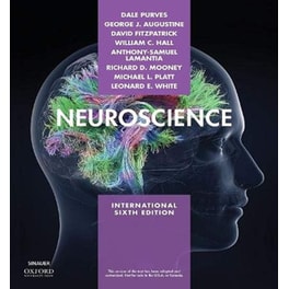 Neuroscience