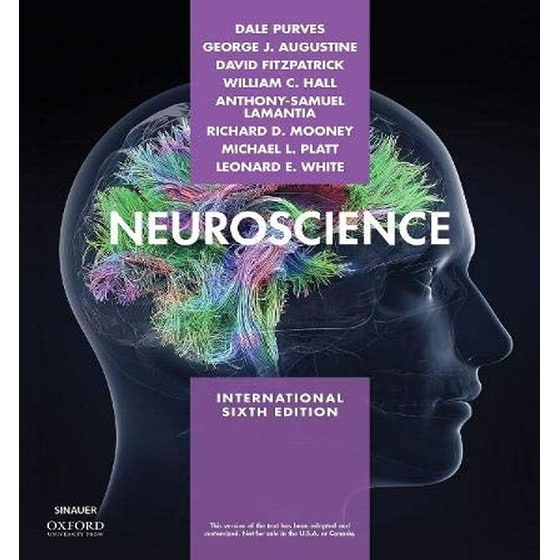 Neuroscience image 0