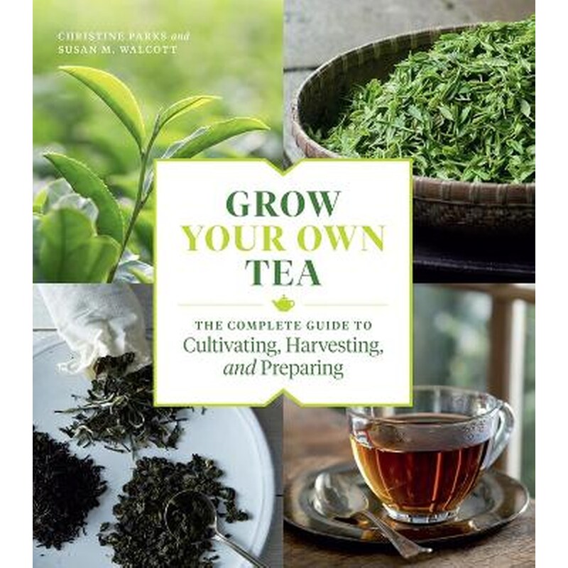 Grow Your Own Tea