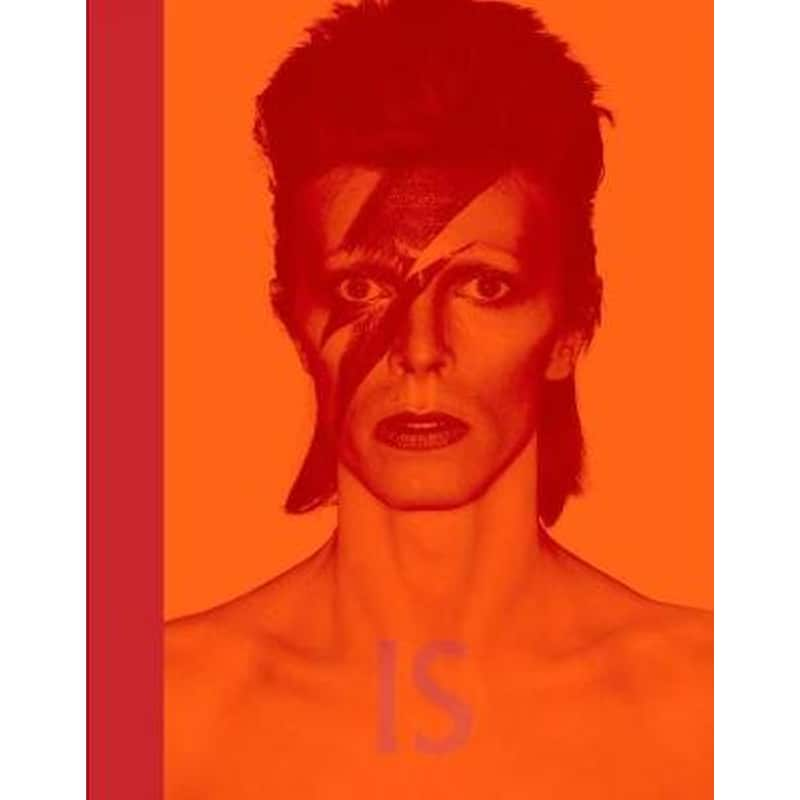 David Bowie Is φωτογραφία