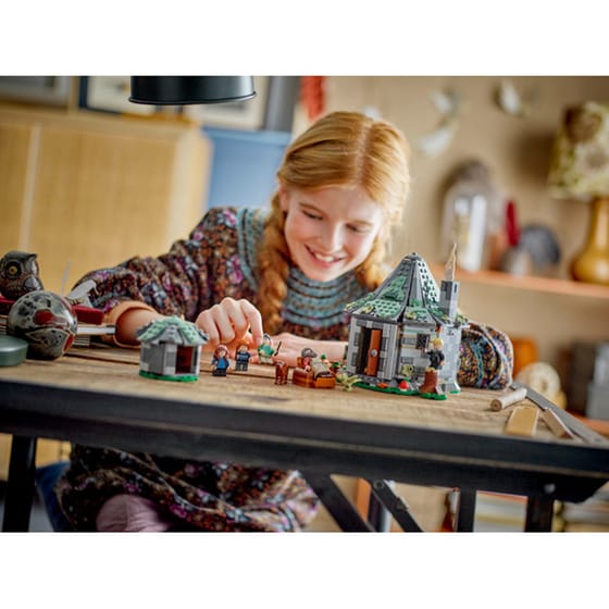 LEGO® Harry Potter Hagrid's Hut: An Unexpected Visit (76428) image 3
