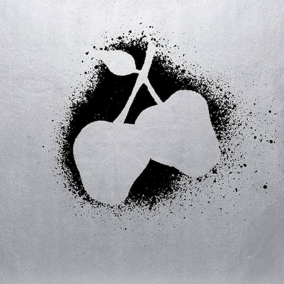 Silver Apples (Deluxe LP) image 0
